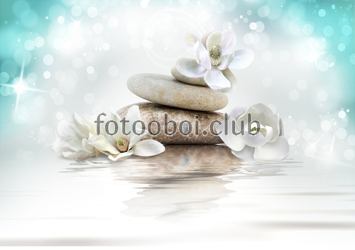 цветы, цветок, вода, камни, 3д, 3d